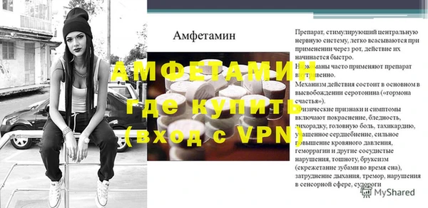 хмурый Няндома