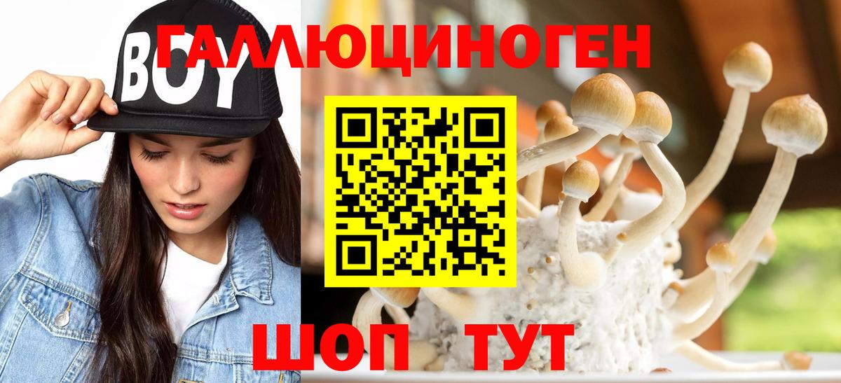 Ливны  купить наркотик  Вход с VPN  Псилоцибиновые грибы мицелий 